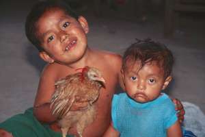 Boy holding chicken and baby. (1274.59 Kb)