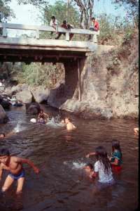 Chldren swimming in river (1462.01 Kb)