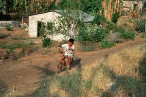 Boy riding bicycle (1578.86 Kb)