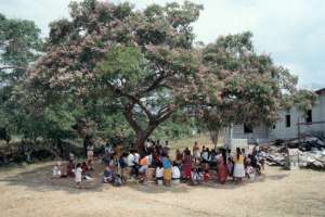 Large group under tree (1592.68 Kb)